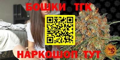 твердый Камышлов