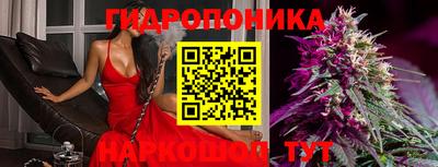 молекула духа Кандалакша