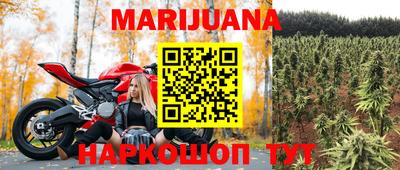 шишки Канаш