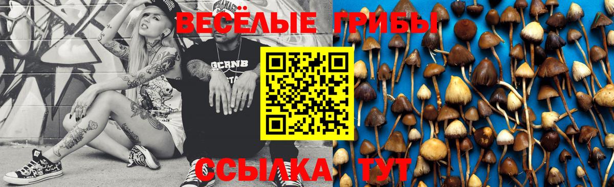 Галлюциногенные грибы мухоморы  Галлюциногенные грибы Magic Shrooms  купить наркотик  Мончегорск  Вход с VPN 